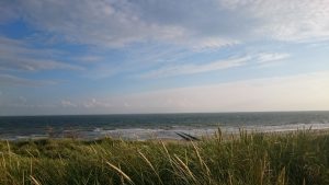 Helmgras en zee | Duinweg33 Vakantieverhuur