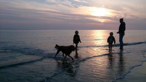 Zomeravond | Duinweg33 Vakantieverhuur